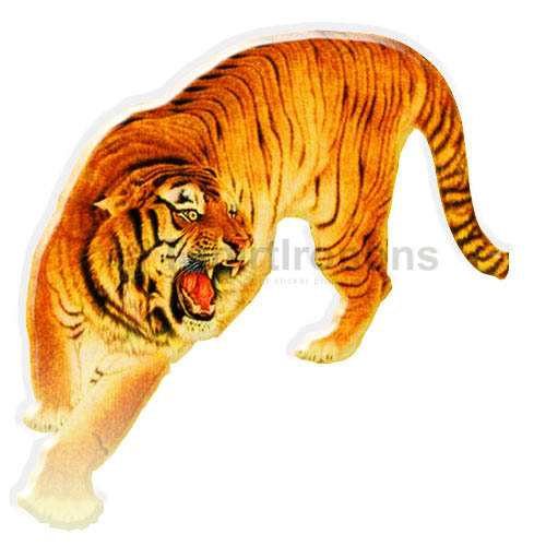 Tiger T-shirts Iron On Transfers N5605 - Click Image to Close